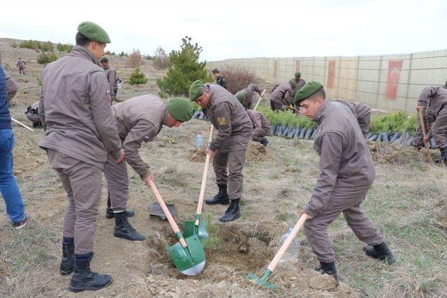 Yozgat’ta Jandarma Ekipleri Hatıra Ormanı Oluşturdu