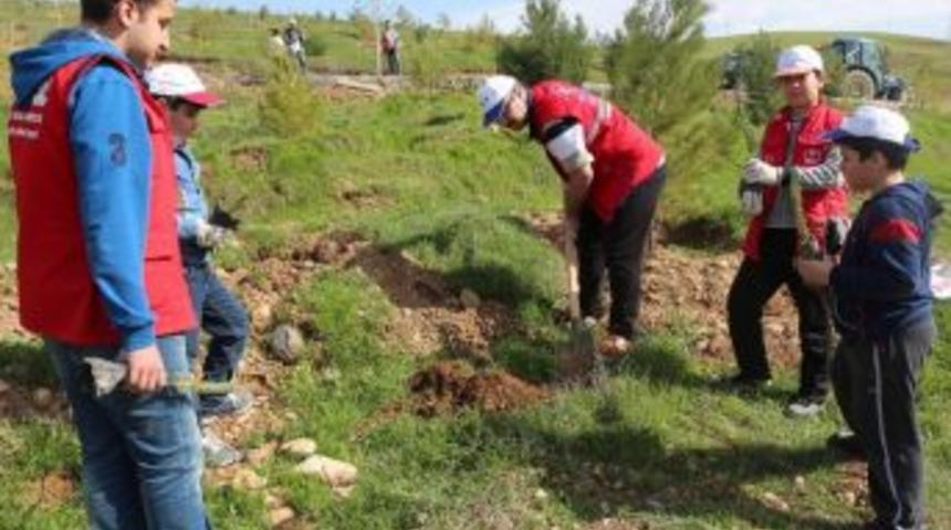 G&ouml;n&uuml;ll&uuml; Gen&ccedil;lerden &Ccedil;evre Temizliği