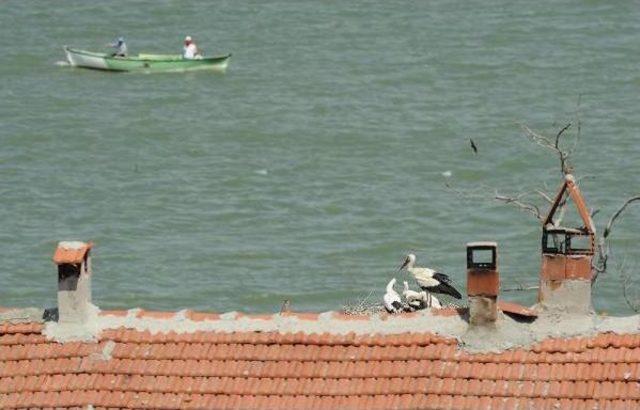 ‘Leylek Köyü’ Eskikarağaç, Ulusal Kuş Konferansı’Na Ev Sahipliği Yapacak