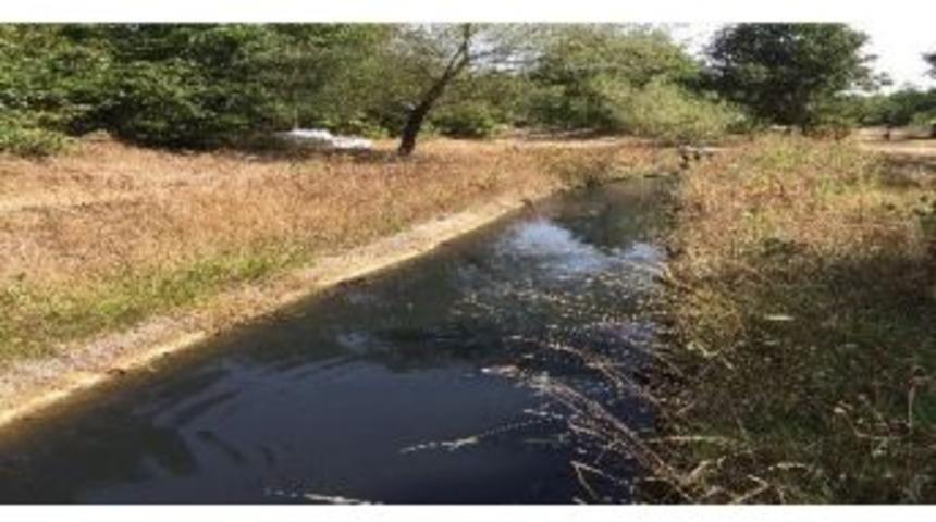 Yenice Tarım Şehri Olma Yolunda