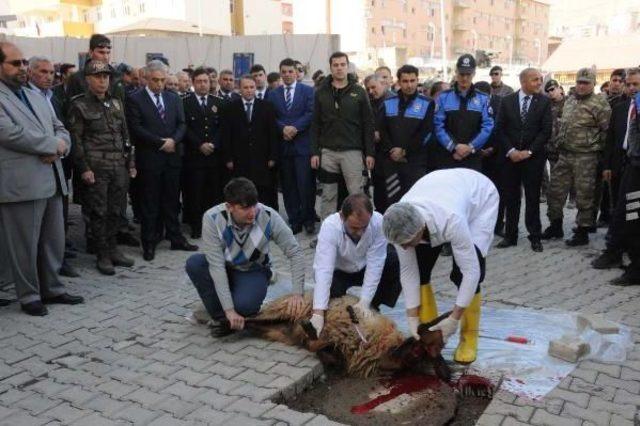 Polisler Hakkari Esnafına Karanfil Dağıttı(2)