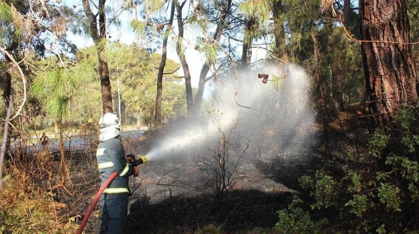 Manavgat&rsquo;ta Orman Yangını