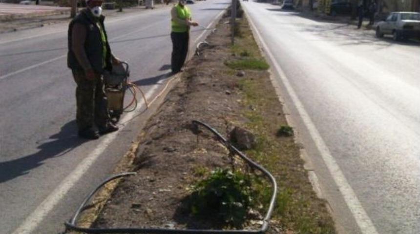 Seydişehir Belediyesinden Yabani Otla M&uuml;cadele