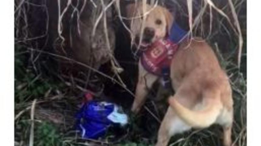 Uyuşturucuyu Mezarlık İ&ccedil;inde Saklamışlar