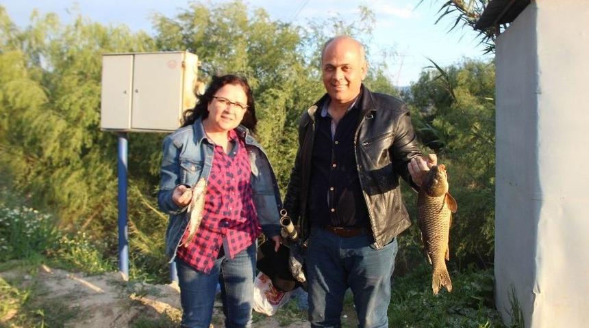 &Ccedil;ine &Ccedil;ayı Bereket Sa&ccedil;ıyor