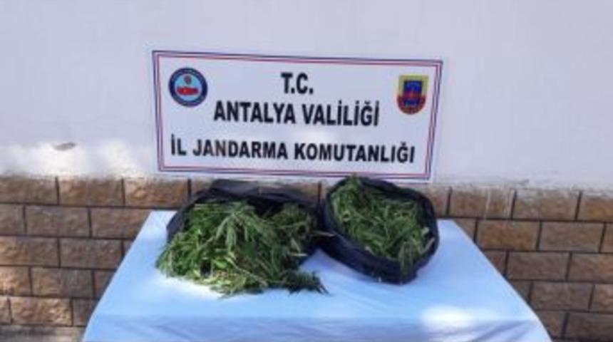 Antalya&rsquo;da 10 Kilogram Esrar Ele Ge&ccedil;irildi