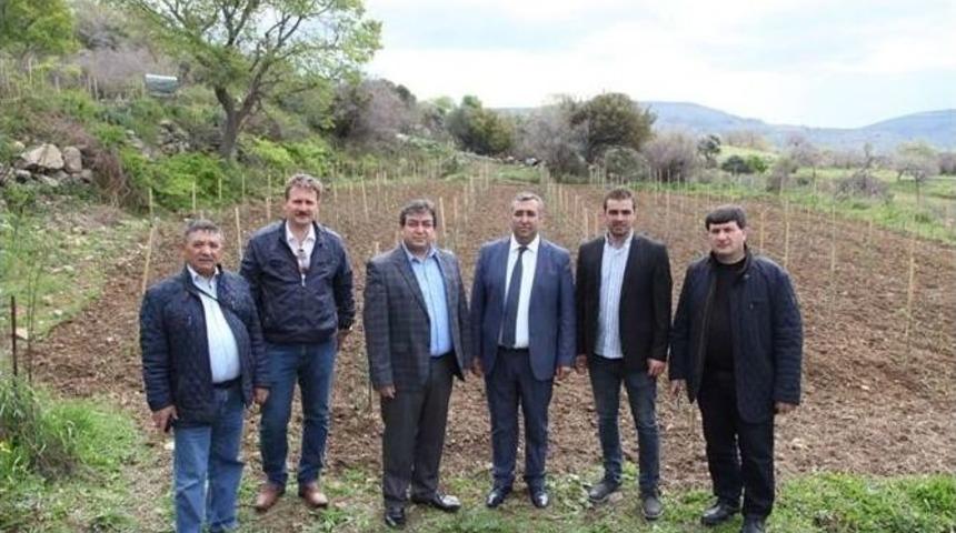 G&ouml;k&ccedil;eada Arısının Islahı Ve Korunması Toplantısı D&uuml;zenlendi