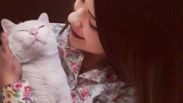 (özel Haber) Nöbet Geçiren Kedisine 20 Bin Lira Harcadı