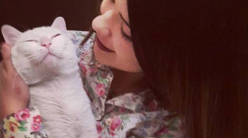 (&ouml;zel Haber) N&ouml;bet Ge&ccedil;iren Kedisine 20 Bin Lira Harcadı