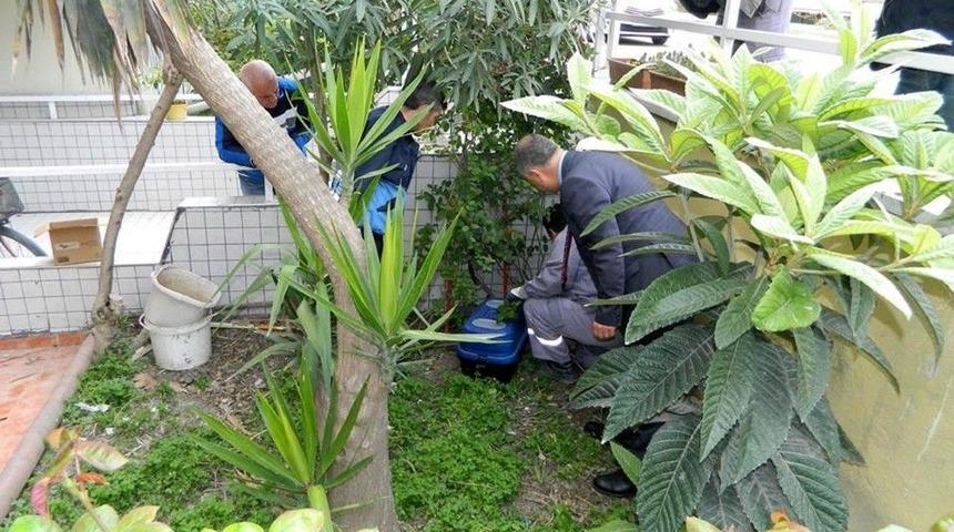 &ldquo;kirpi&rdquo; Harek&acirc;tı