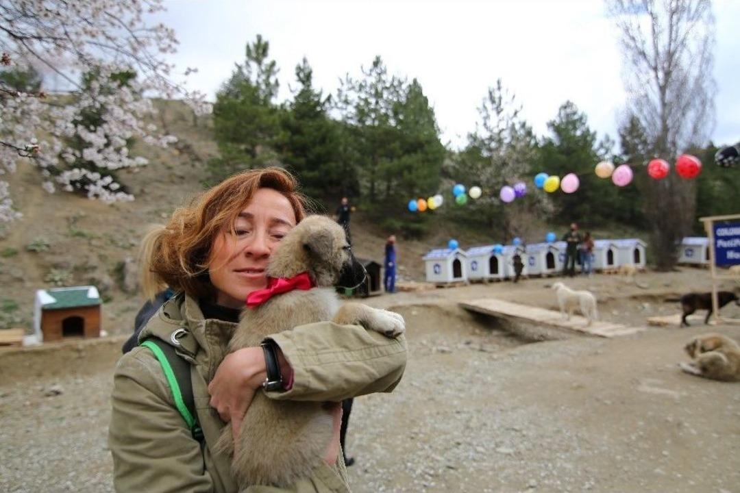 500 Sokak K&ouml;peği İ&ccedil;in Seferber Oldular