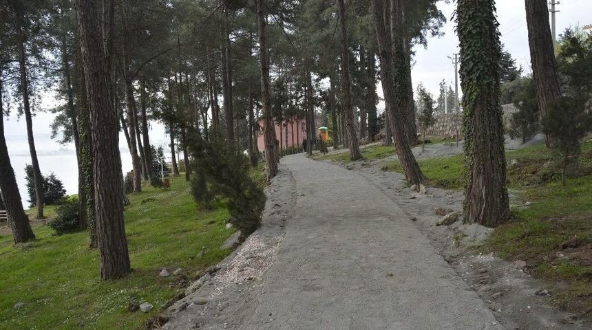 &Ccedil;amlık Mesire Alanı Yenileniyor