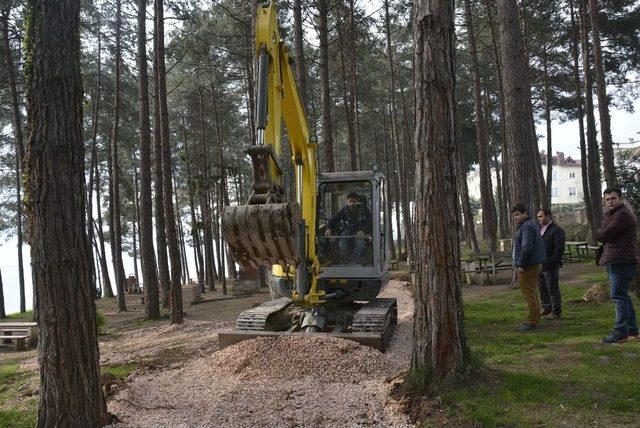 &Ccedil;amlık Mesire Alanı Yenileniyor 2