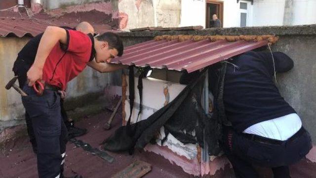 Bacada Mahsur Kalan Yavru Kedileri Itfaiye Kurtardı 1