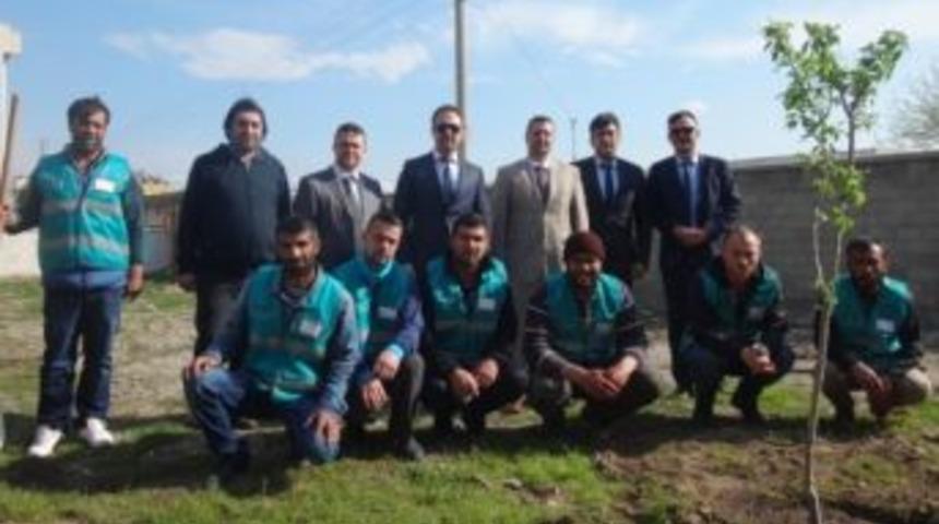 Burhaniyeli &Ouml;ğrenciler H&uuml;k&uuml;ml&uuml;lerle Ağa&ccedil; Dikti