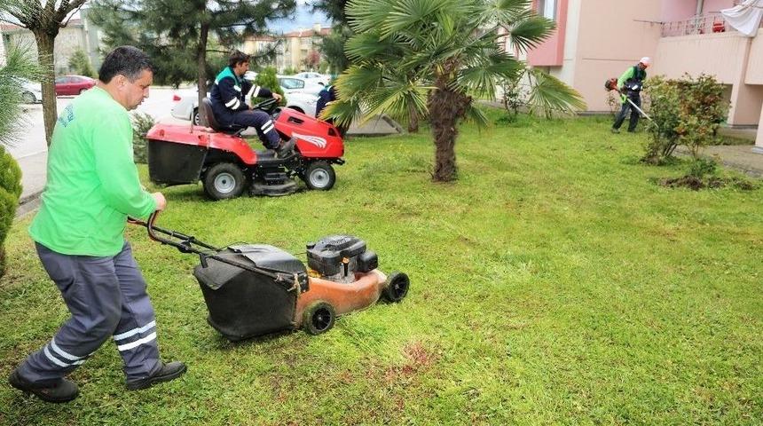 Başiskele&rsquo;de &Ccedil;im Bi&ccedil;me &Ccedil;alışmaları Başladı