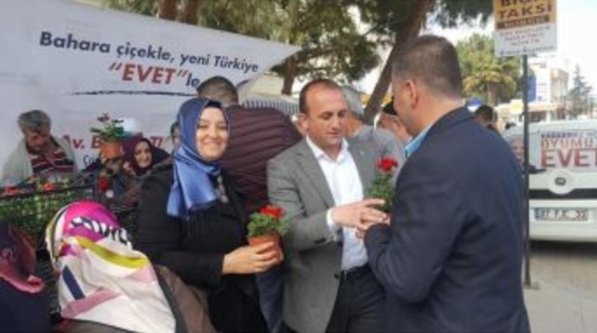 Biga&rsquo;da 4 Bin Adet &Ccedil;i&ccedil;ek Dağıtıldı