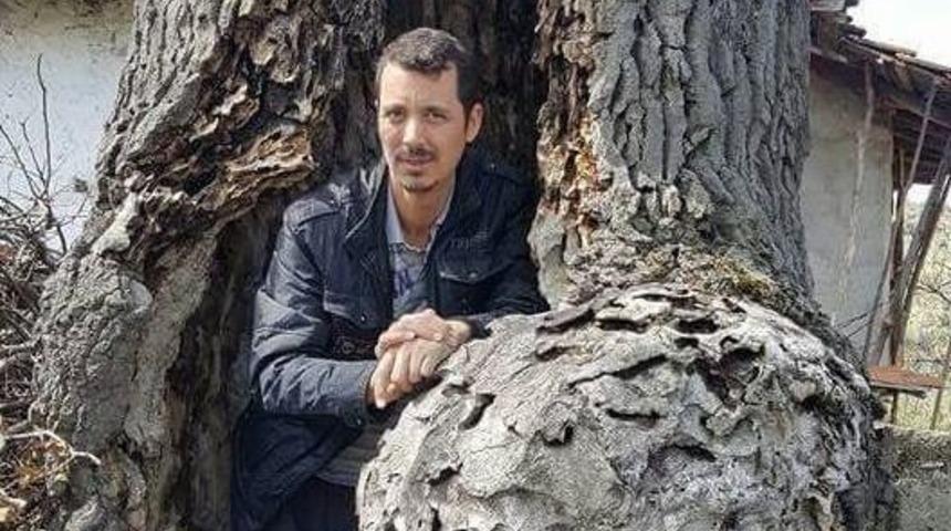 5 Asırlık Meşe Ağacı