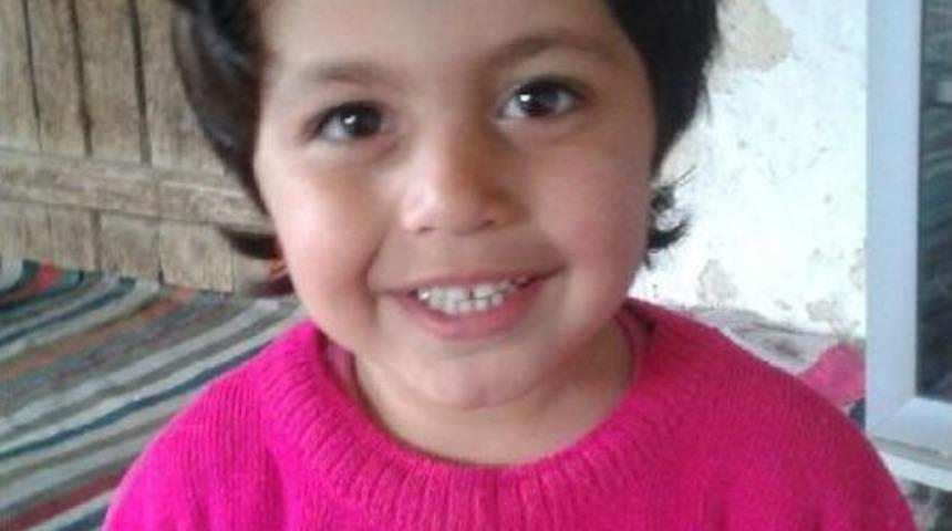 Siirt'te Dereye D&uuml;şen 2 Kardeş Boğularak &Ouml;ld&uuml;