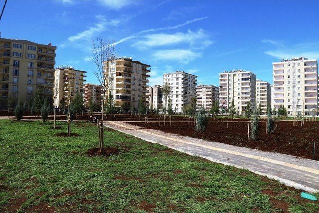 Bağlar Belediyesinden Yeni Yeşil Alanlar 1