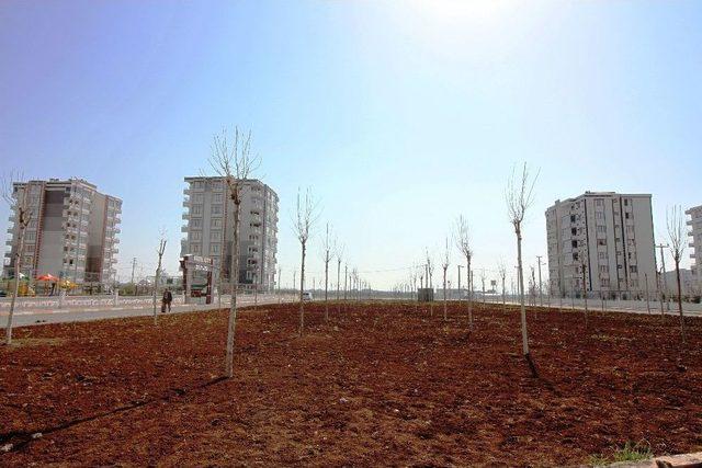 Bağlar Belediyesinden Yeni Yeşil Alanlar 2