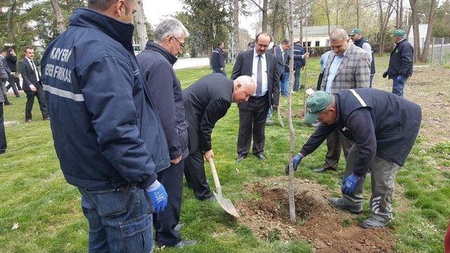 Kayseri Ve Boğazlıyan Şeker Çalışanları Ağaçlandırma Yaptı