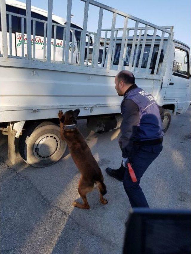 Kalas Yüklü Kamyonette 116 Kilo Esrar Ele Geçirildi