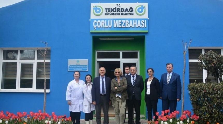 Ayşe Arman&rsquo;dan &Ccedil;orlu Mezbahasına Ziyaret