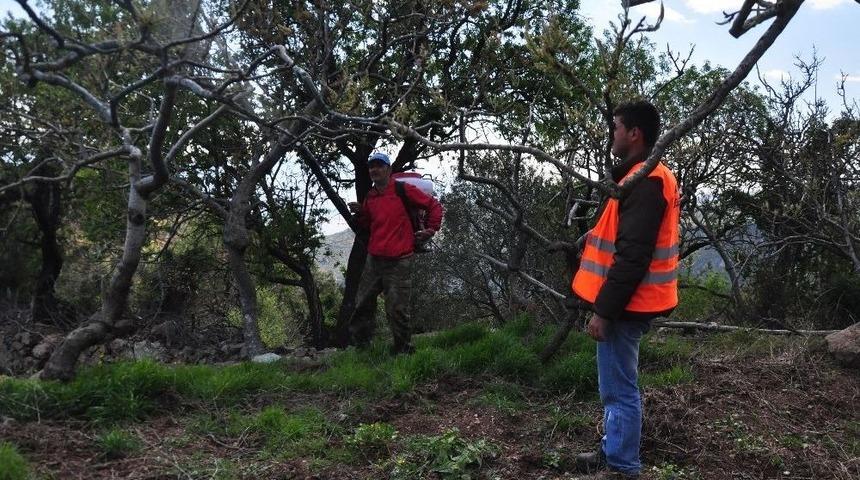 Başkan Şahin, Antep Fıstığı &Uuml;reticilerine Sahip &Ccedil;ıktı