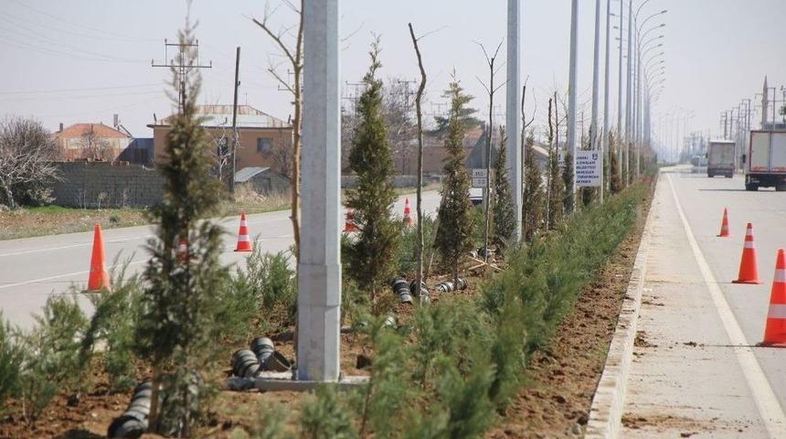 Karaman Belediyesi&rsquo;nin Hedefi 30 Bin Fidan Dikmek