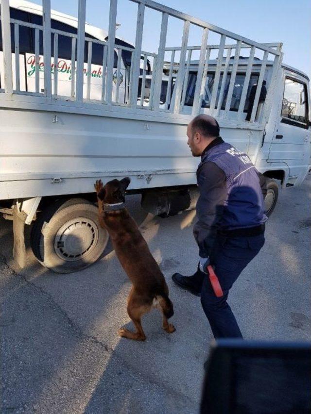 Üçüncü Evliliğini Yapmak İçin Uyuşturucu Sevkiyatı Yaptı