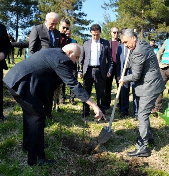 Protokol Ve H&uuml;k&uuml;ml&uuml;ler Fidan Dikti 2