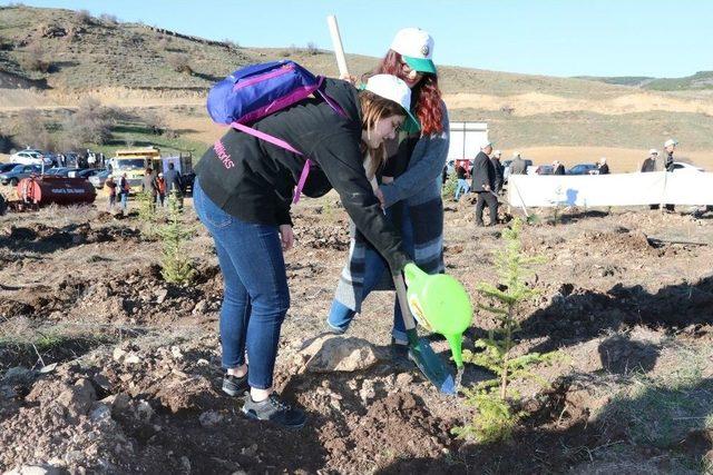 Yozgat’ta 15 Temmuz Şehitleri Hatıra Ormanı’na Fidan Dikildi