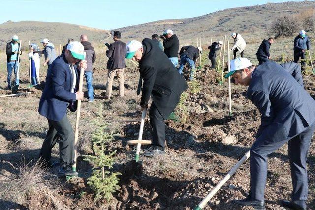 Yozgat’ta 15 Temmuz Şehitleri Hatıra Ormanı’na Fidan Dikildi