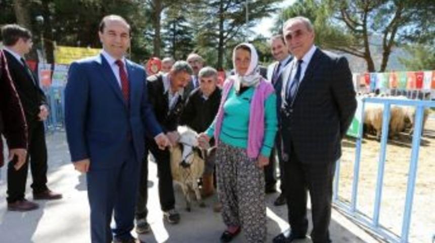 Vali Işık Ko&ccedil; Dağıttı