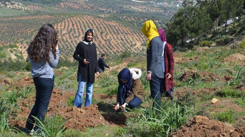 &Ouml;ğrenciler, 400 Fidanı Toprakla Buluşturdu