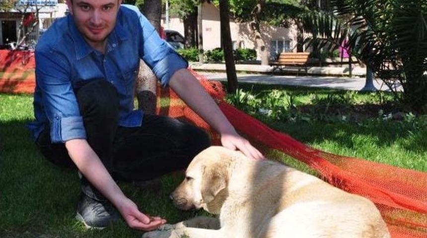 Askıda Mama Kampanyası Ile Can Dostlarını Besliyor