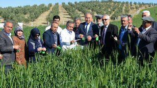 Bilgiç: “zararlı Böcekleri, Faydalı Böceklerle Yok Ediyoruz”