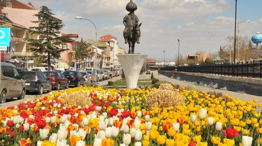 Akşehir &Ccedil;i&ccedil;eklere B&uuml;r&uuml;nd&uuml;