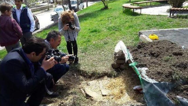 Yavru K&ouml;peklere Polis Sahip &Ccedil;ıktı 3