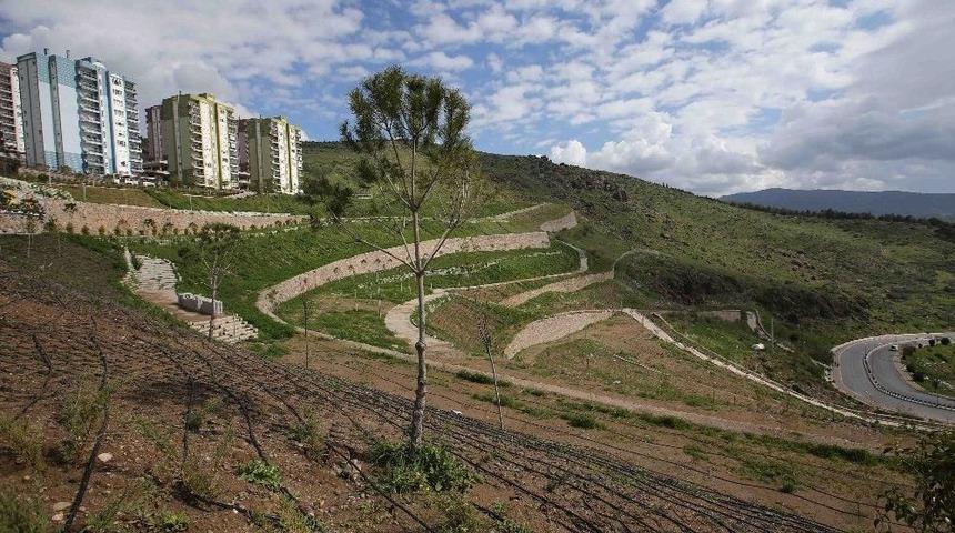 Karşıyaka&rsquo;da 3 Yılda 50 Bin Fidan Toprakla Buluştu