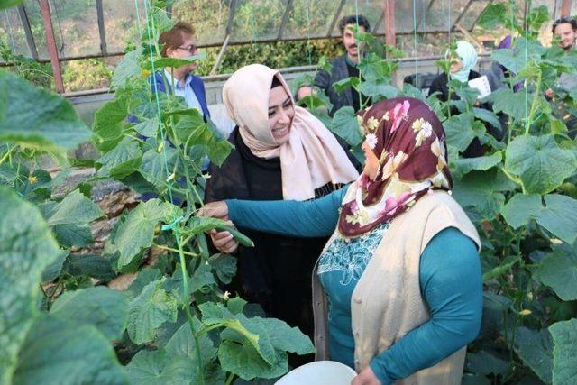 Halk Oylamasına Doğru