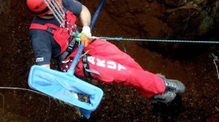 Akut'tan Horoz Kurtarma Operasyonu