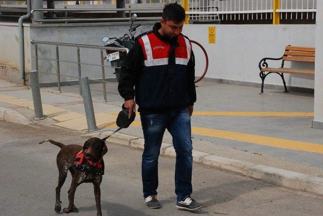 İzmir’de Bomba İhbarıyla Tren Durduruldu, Yolcular Tahliye Edildi