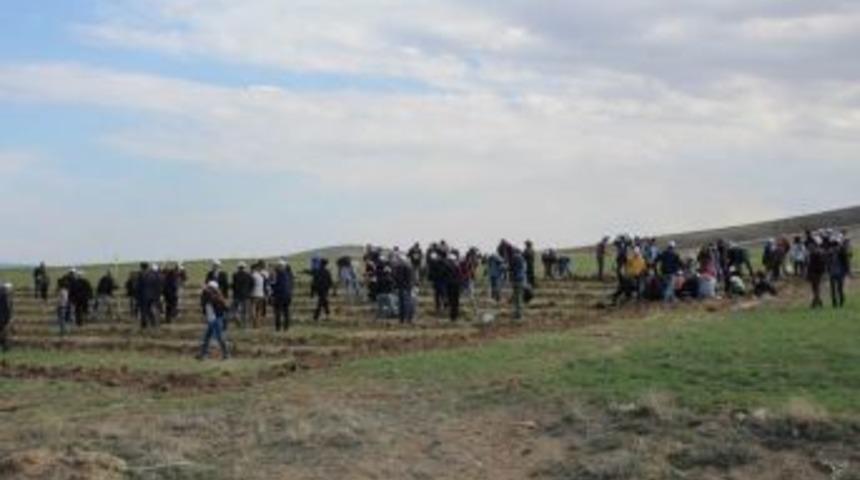 Akpınar Kaymakamı Hicabi Aytemur: