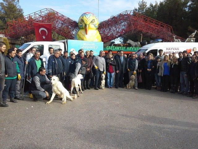 Yerel Hayvan Koruma G&ouml;revlileri Kimliklerini Aldı 1
