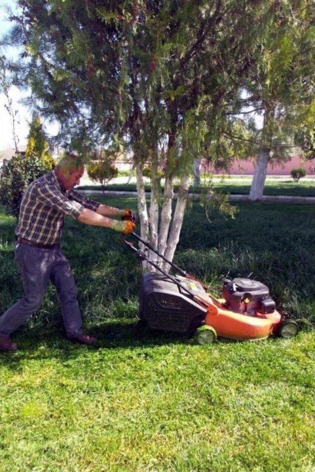 Söğütlüdere Piknik Alanı Yaza Hazır