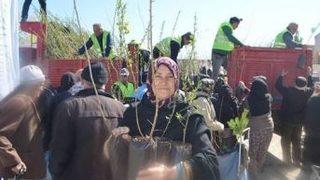 Beylikova’da 10 Bin Ücretsiz Fidan Dağıtıldı