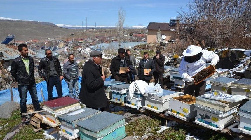 Şenkaya&rsquo;da Arı Yetiştiriciliği Kurslarına Yoğun İlgi