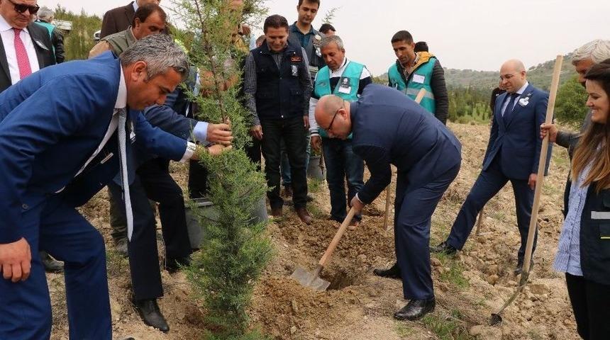 H&uuml;k&uuml;ml&uuml;ler 15 Temmuz Anısına Fidan Dikti